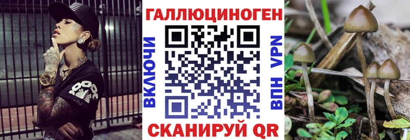 Галлюциногенные грибы Psilocybine cubensis Пошехонье